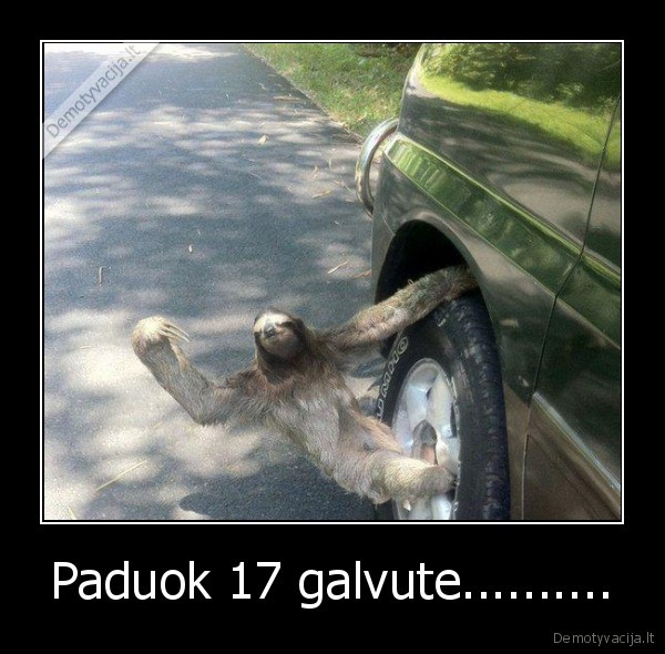 Paduok 17 galvute.......... - 