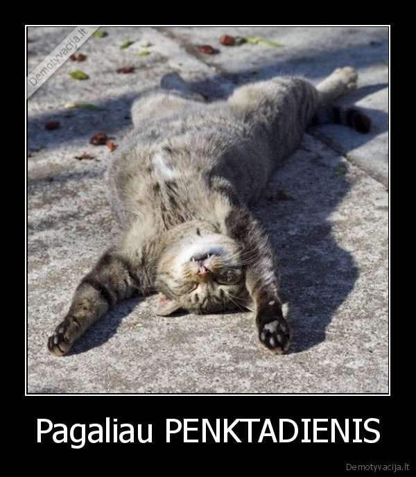 Pagaliau PENKTADIENIS - 