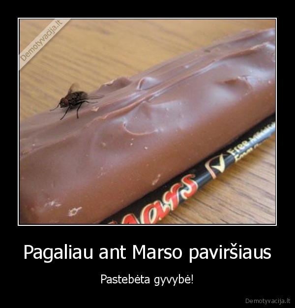 Pagaliau ant Marso paviršiaus - Pastebėta gyvybė!