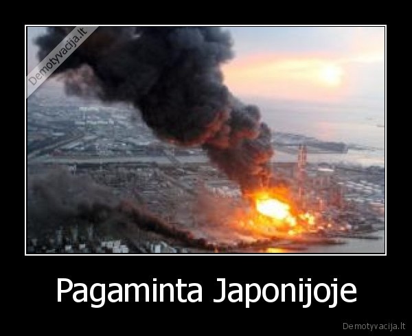 Pagaminta Japonijoje - 