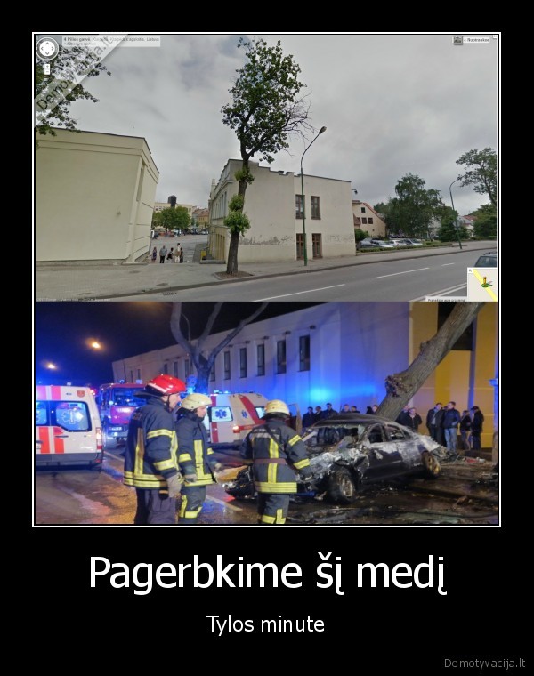 Pagerbkime šį medį - Tylos minute