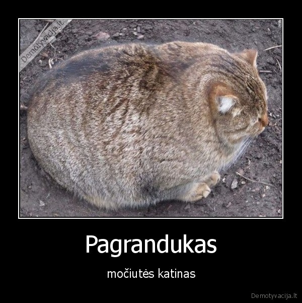 Pagrandukas - močiutės katinas