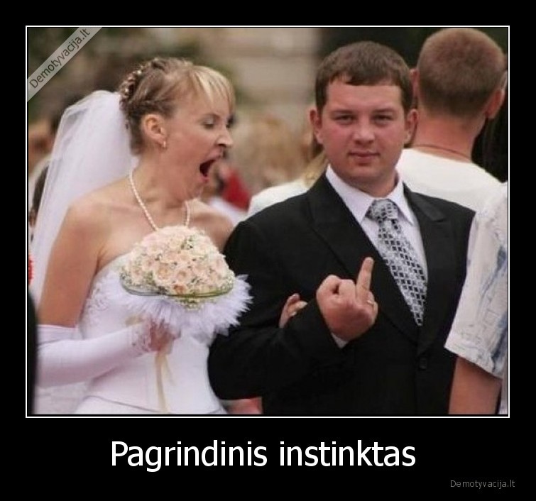 Pagrindinis instinktas  - 