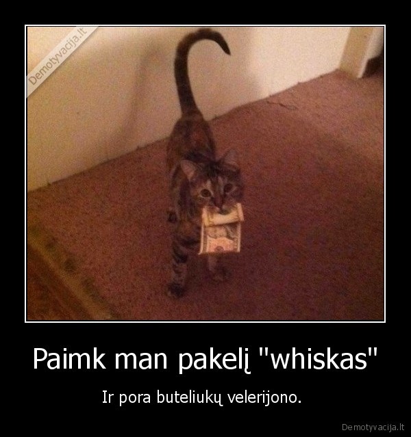 Paimk man pakelį "whiskas" - Ir pora buteliukų velerijono. 