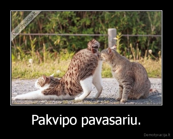 Pakvipo pavasariu. - 