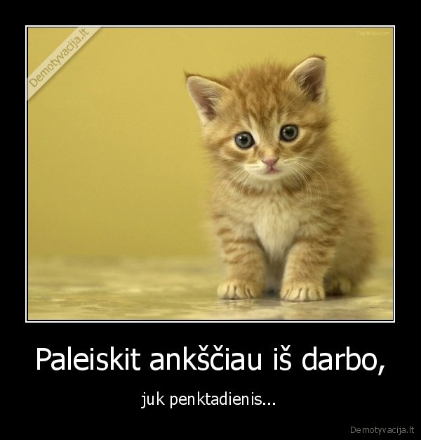 Paleiskit ankščiau iš darbo, - juk penktadienis...