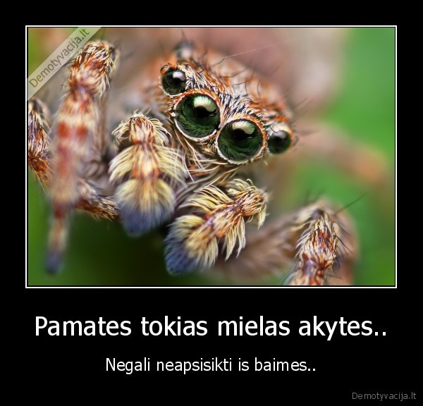 Pamates tokias mielas akytes.. - Negali neapsisikti is baimes..