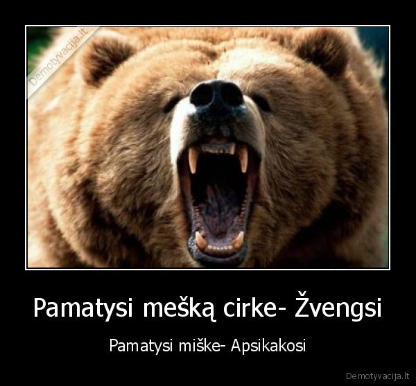 Pamatysi mešką cirke- Žvengsi - Pamatysi miške- Apsikakosi