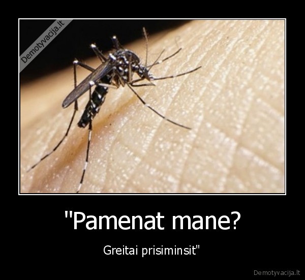 "Pamenat mane? - Greitai prisiminsit"