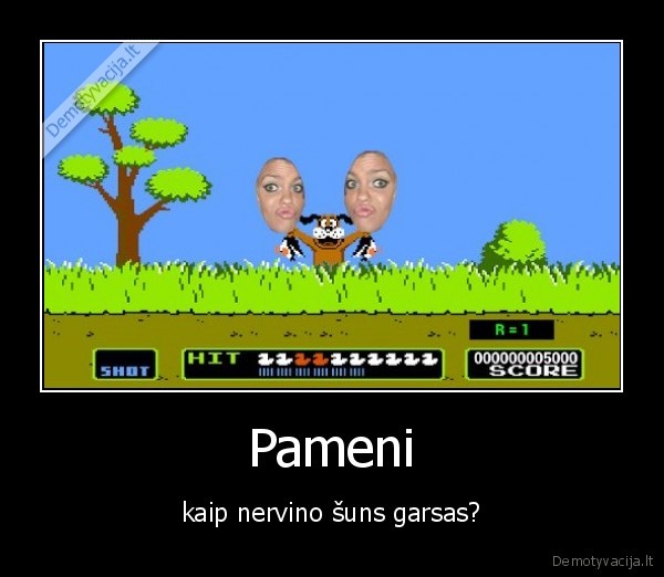 Pameni - kaip nervino šuns garsas?