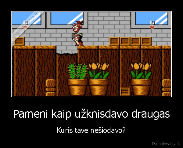 Pameni kaip užknisdavo draugas - Kuris tave nešiodavo?