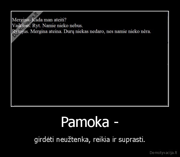 Pamoka - - girdėti neužtenka, reikia ir suprasti.