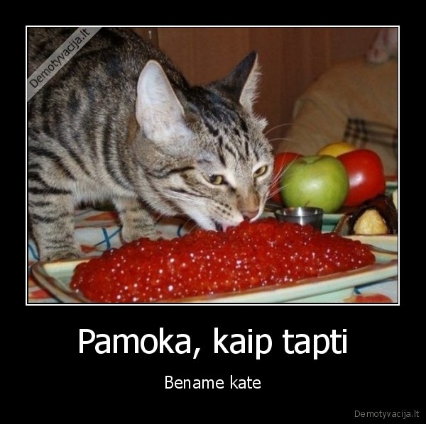 Pamoka, kaip tapti - Bename kate