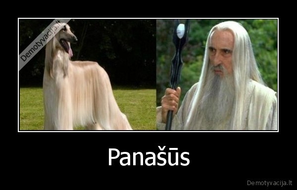 Panašūs - 