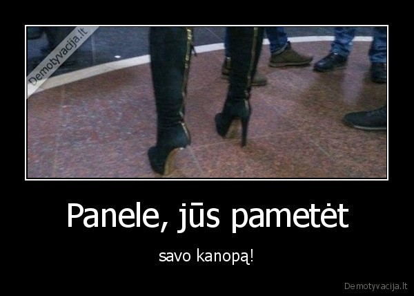 Panele, jūs pametėt - savo kanopą!