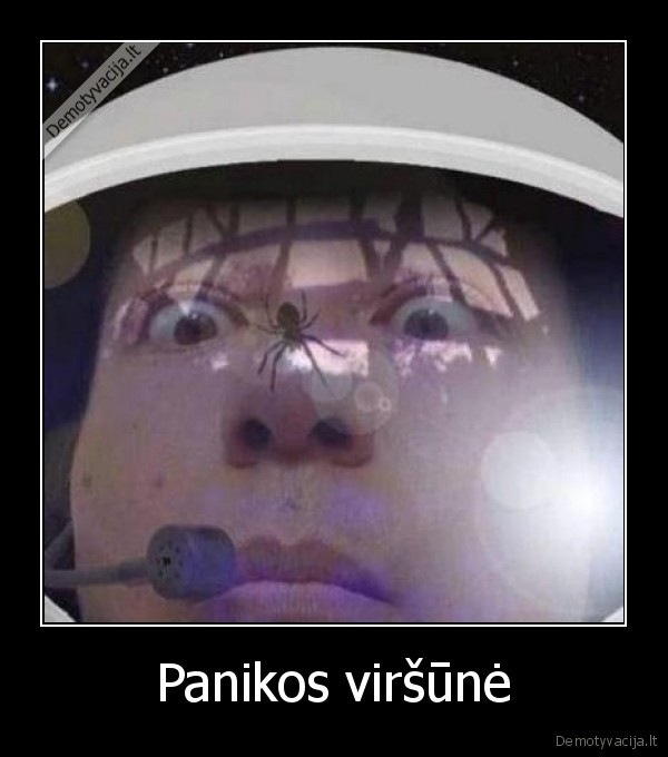 Panikos viršūnė - 