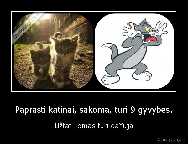 Paprasti katinai, sakoma, turi 9 gyvybes. - Užtat Tomas turi da*uja