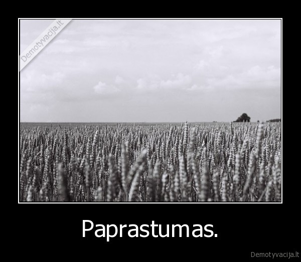 Paprastumas. - 