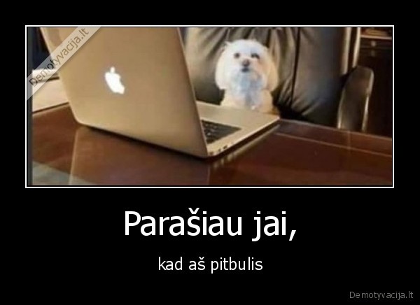 Parašiau jai, - kad aš pitbulis