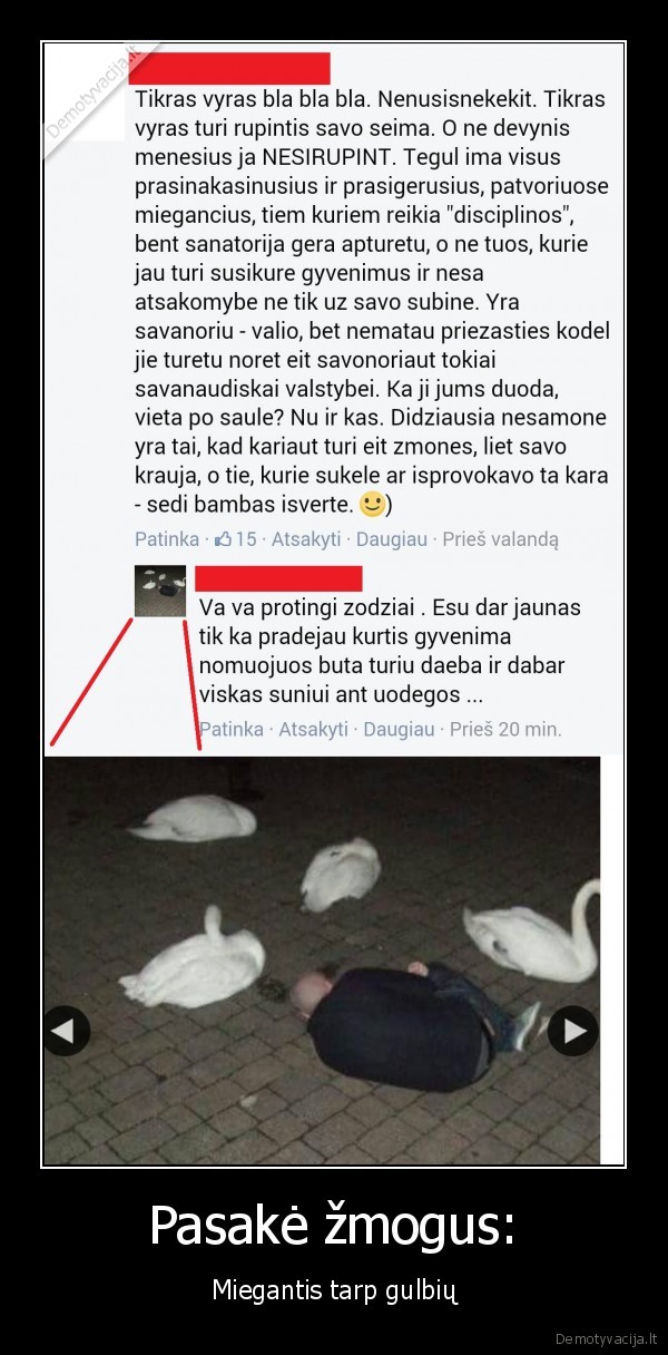 Pasakė žmogus: - Miegantis tarp gulbių