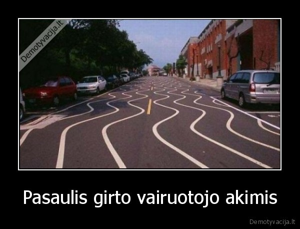 Pasaulis girto vairuotojo akimis - 