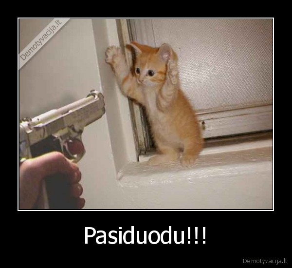 Pasiduodu!!! - 