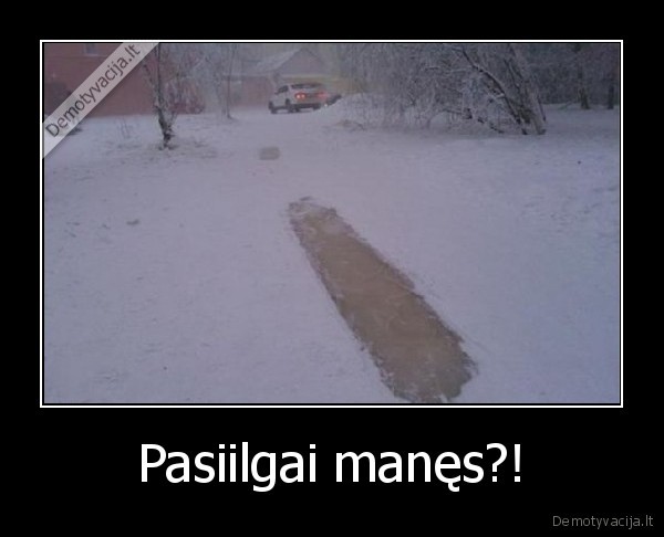 Pasiilgai manęs?! - 