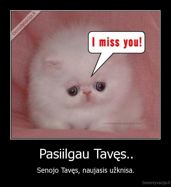 Pasiilgau Tavęs.. - Senojo Tavęs, naujasis užknisa.