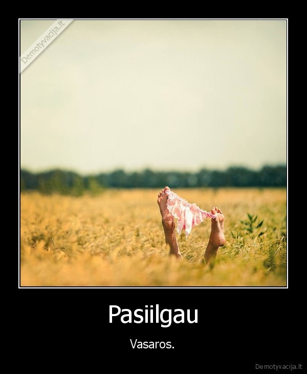 Pasiilgau - Vasaros.