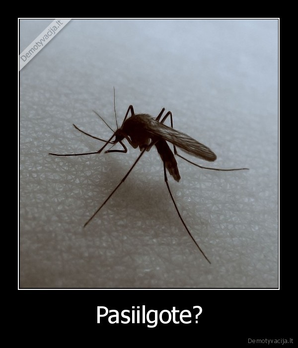 Pasiilgote? - 