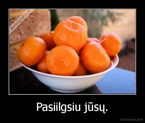 Pasiilgsiu jūsų. - 