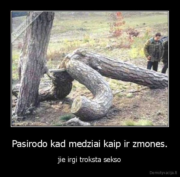 Pasirodo kad medziai kaip ir zmones. - jie irgi troksta sekso
