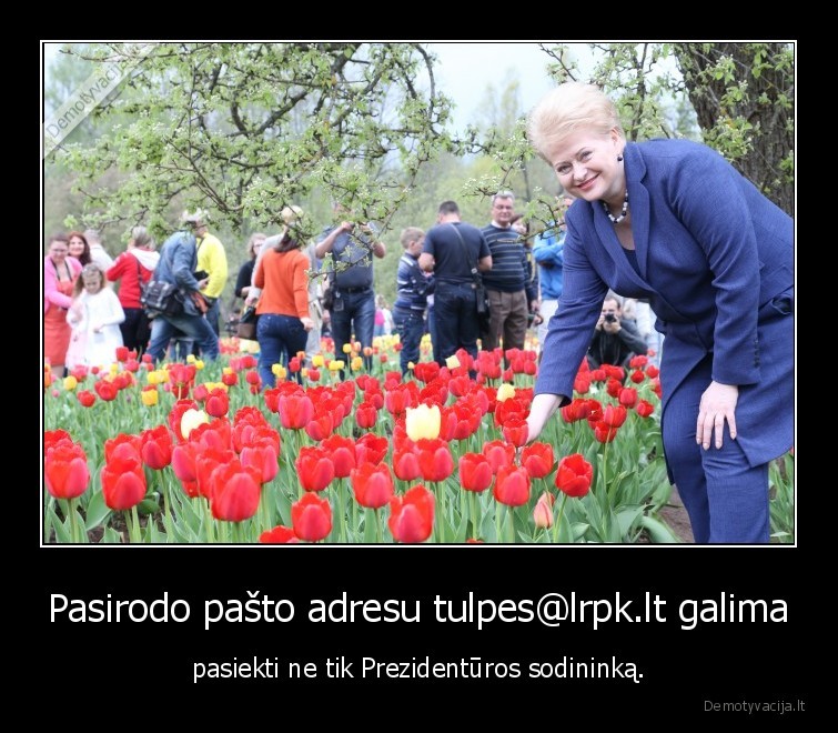 Pasirodo pašto adresu tulpes@lrpk.lt galima - pasiekti ne tik Prezidentūros sodininką.