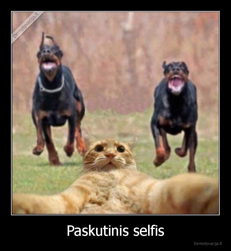 Paskutinis selfis - 