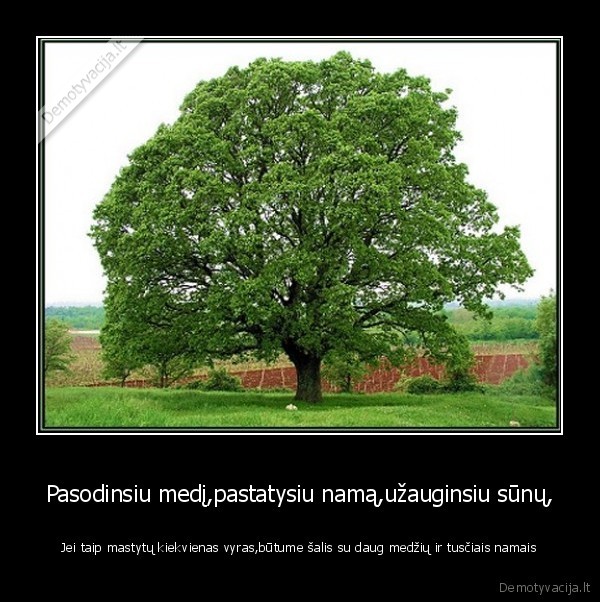 Pasodinsiu medį,pastatysiu namą,užauginsiu sūnų, - Jei taip mastytų kiekvienas vyras,būtume šalis su daug medžių ir tusčiais namais