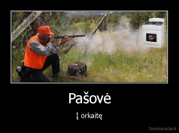 Pašovė - Į orkaitę