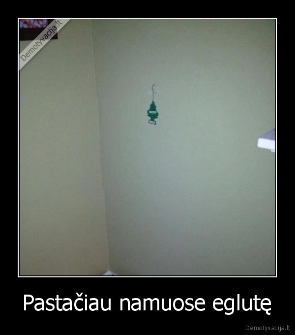 Pastačiau namuose eglutę - 