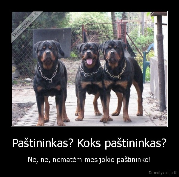 Paštininkas? Koks paštininkas? - Ne, ne, nematėm mes jokio paštininko!