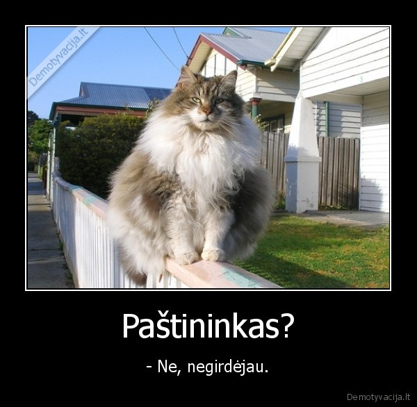 Paštininkas? - - Ne, negirdėjau.