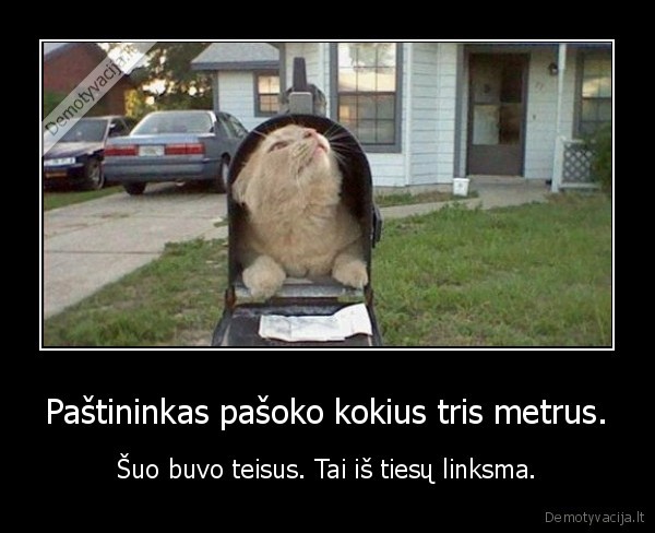 Paštininkas pašoko kokius tris metrus. - Šuo buvo teisus. Tai iš tiesų linksma.