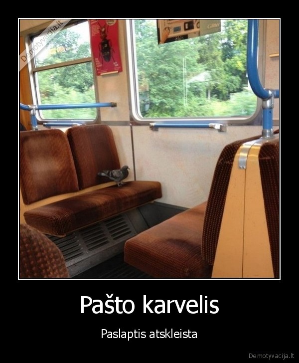 Pašto karvelis - Paslaptis atskleista