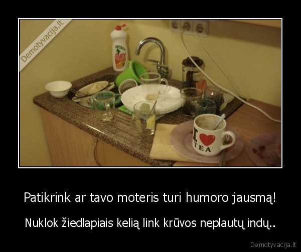 Patikrink ar tavo moteris turi humoro jausmą! - Nuklok žiedlapiais kelią link krūvos neplautų indų..