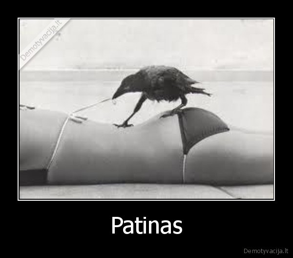 Patinas - 