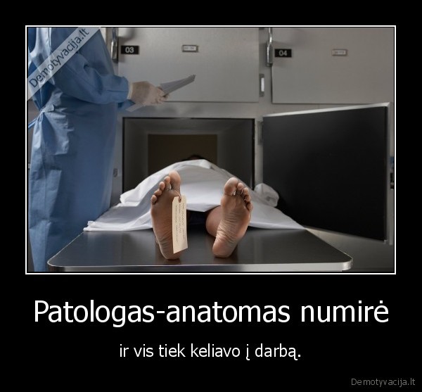 Patologas-anatomas numirė - ir vis tiek keliavo į darbą.