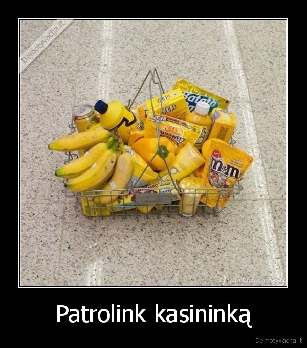 Patrolink kasininką - 