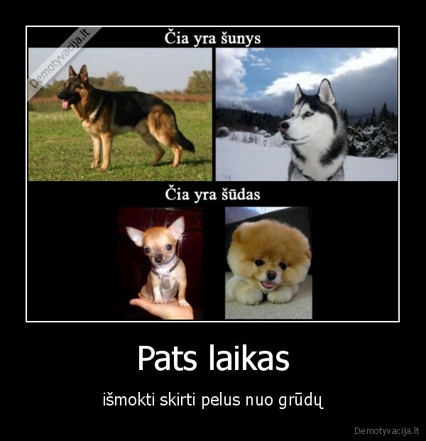 Pats laikas - išmokti skirti pelus nuo grūdų