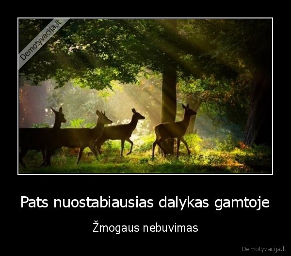 Pats nuostabiausias dalykas gamtoje - Žmogaus nebuvimas