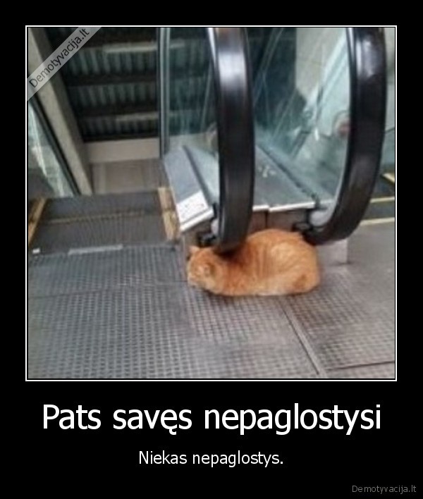 Pats savęs nepaglostysi - Niekas nepaglostys.