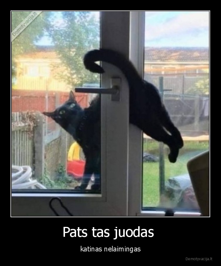 Pats tas juodas  - katinas nelaimingas