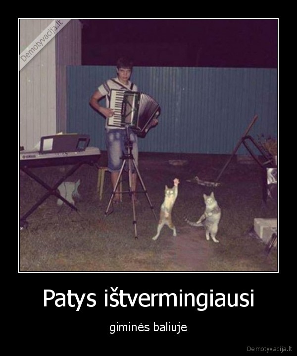 Patys ištvermingiausi - giminės baliuje